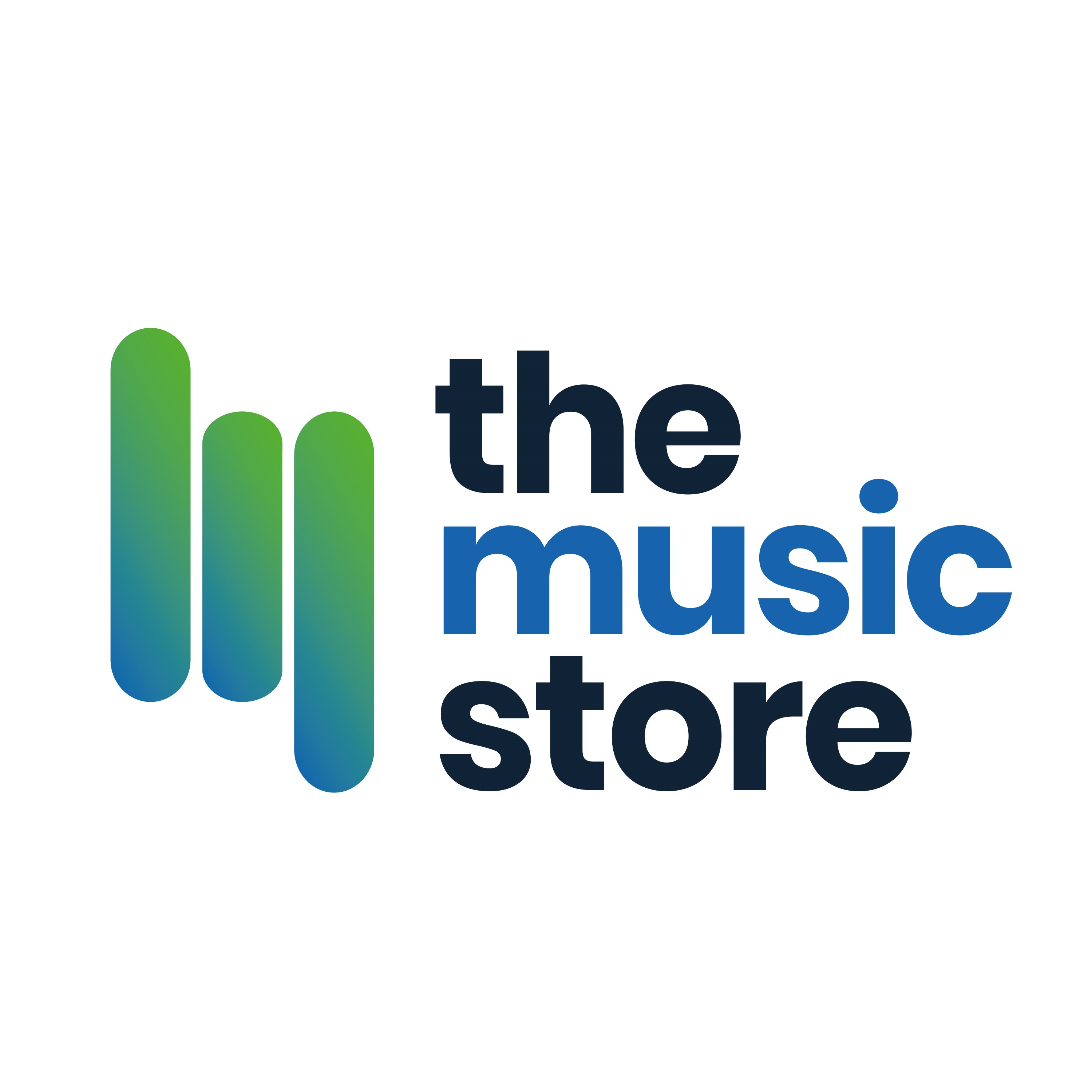 THE MUSIC STORE